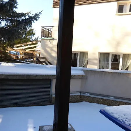 Ourson Blond * Le Sauze